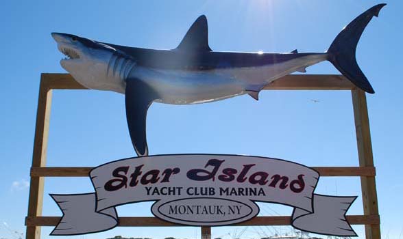 Montauk Shark Fishing – Montauk Shark Charters