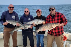 Screenshot_20230523_045606_Gallery