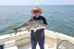 Screenshot_20230523_045818_Gallery