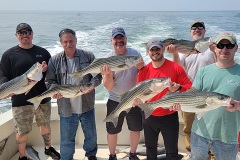 Screenshot_20230529_040434_Gallery