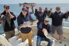 Screenshot_20230530_043745_Gallery