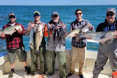 Screenshot_20230530_044131_Gallery