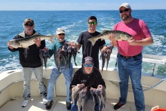 Screenshot_20230601_033542_Gallery