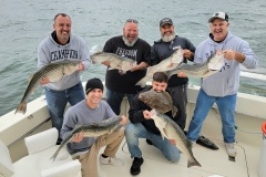 Screenshot_20230604_162051_Gallery