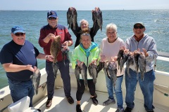 Screenshot_20230606_050337_Gallery