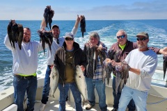 Screenshot_20230607_044953_Gallery