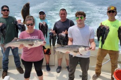 Screenshot_20230611_133054_Gallery