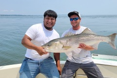 Screenshot_20230617_044827_Gallery