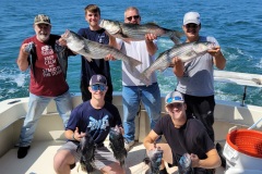 Screenshot_20230618_130852_Gallery