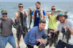 Screenshot_20230618_131447_Gallery