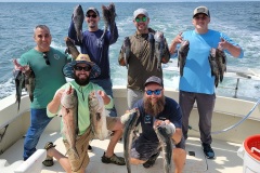 Screenshot_20230630_044851_Gallery