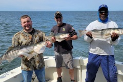 Screenshot_20230630_050428_Gallery