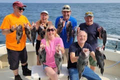 Screenshot_20230707_050517_Gallery