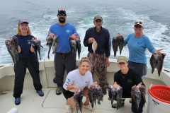 Screenshot_20230708_045544_Gallery