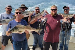 Screenshot_20230709_114835_Gallery