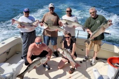 Screenshot_20230713_045629_Gallery