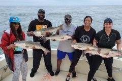 Screenshot_20230715_112811_Gallery