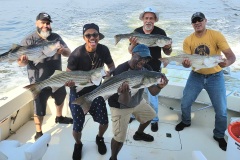 Screenshot_20230717_044820_Gallery