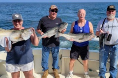 Screenshot_20230722_045345_Gallery