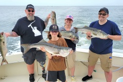 Screenshot_20230724_045946_Gallery