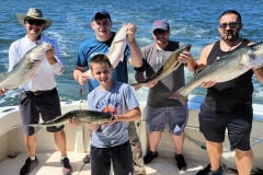 Screenshot_20230730_102043_Gallery