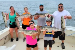 Screenshot_20230730_102456_Gallery