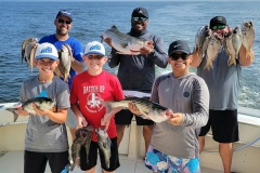 Screenshot_20230730_103132_Gallery