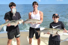 Screenshot_20230805_044756_Gallery