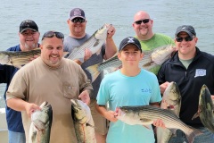 Screenshot_20230811_050155_Gallery