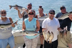 Screenshot_20230815_045046_Gallery