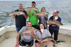 Screenshot_20230816_045212_Gallery