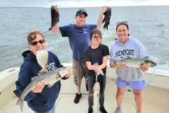 Screenshot_20230816_102520_Gallery