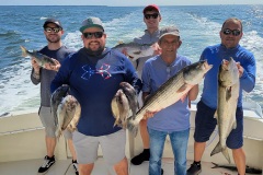 Screenshot_20230823_045403_Gallery