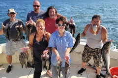 Screenshot_20230823_045833_Gallery