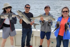 Screenshot_20230825_193935_Gallery