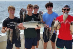 Screenshot_20230825_194141_Gallery