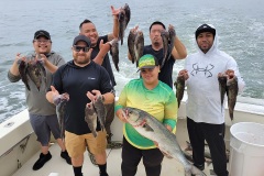 Screenshot_20230827_111443_Gallery