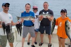 Screenshot_20230828_183231_Gallery