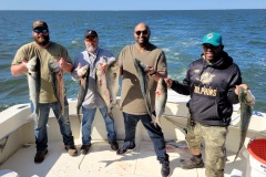 Screenshot_20230902_113500_Gallery