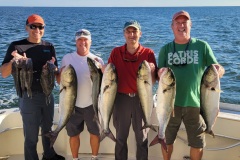 Screenshot_20230914_192314_Gallery