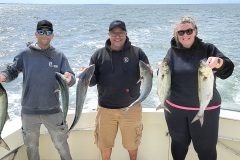 Screenshot_20230915_122900_Gallery