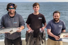 Screenshot_20230915_190511_Gallery