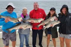 Screenshot_20230918_121949_Gallery