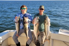 Screenshot_20230921_122903_Gallery