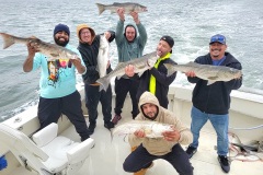 Screenshot_20230926_161237_Gallery