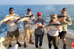 Screenshot_20231006_054912_Gallery