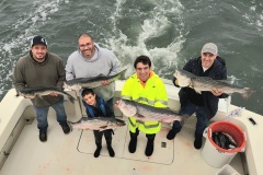 Screenshot_20231008_054734_Gallery