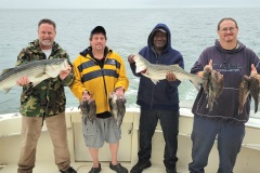 Screenshot_20231008_055818_Gallery