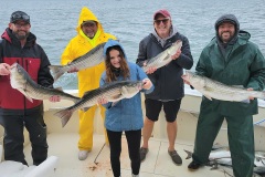 Screenshot_20231008_060440_Gallery