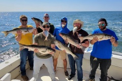 Screenshot_20231009_054052_Gallery